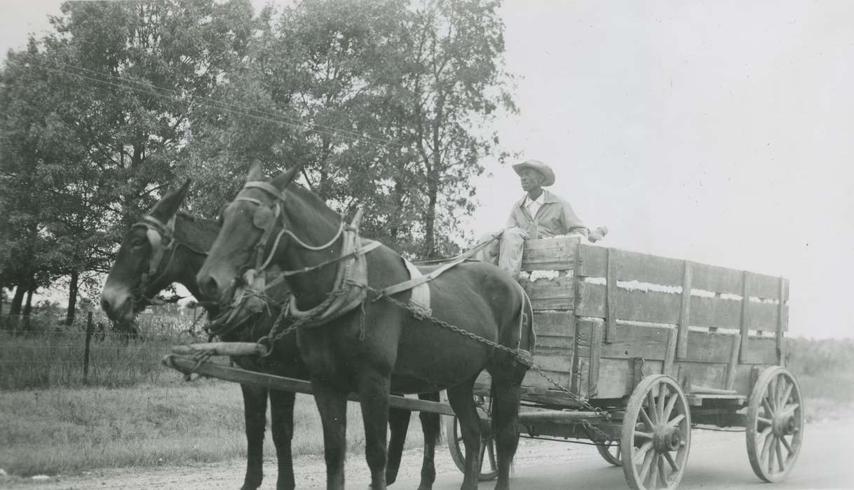 horse, wagon, history of Iowa, McMurray, Doug, cotton, Travel, Iowa, african american, Labor and Occupations, Iowa History, People of Color, Animals, Jonesboro, LA
