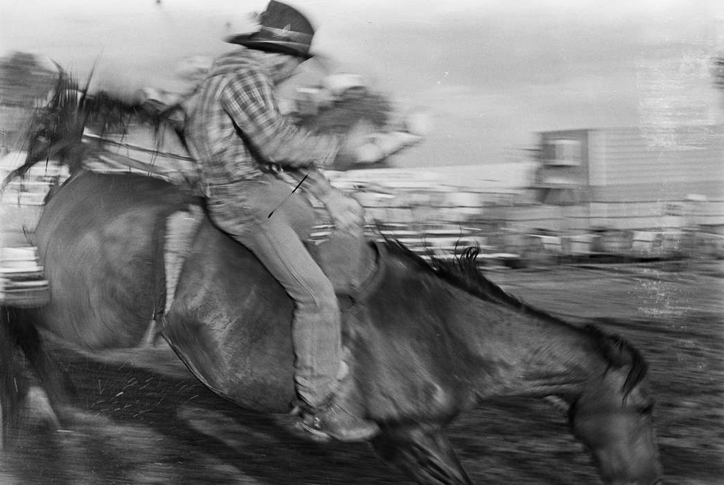 horse, rodeo, Coon Rapids Enterprise, Entertainment, Coon Rapids, Outdoor Recreation, Iowa, cowboy hat, historic, Fairs and Festivals, United States, IA, ia, history, Photos, Animals