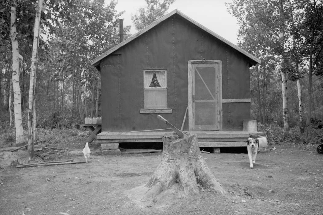 United States, history, Photos, Minnesota, historic, mn, MN, Library of Congress, Beltrami