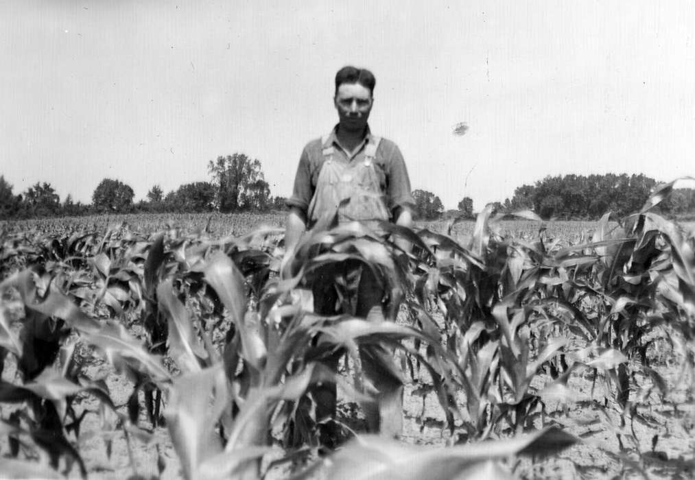 corn, Farms, Iowa, Iowa History, Portraits - Individual, Independence, IA, Durr, Elizabeth, history of Iowa