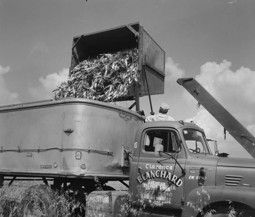 truck, Farming Equipment, Iowa, Motorized Vehicles, historic, United States, sweet corn, Farms, corn, history, Photos, IA, Washington, Labor and Occupations, harvest, Washington Evening Journal, ia