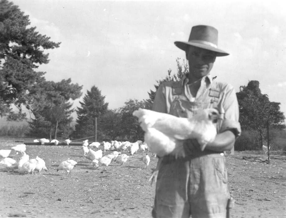 Farms, Animals, Durr, Elizabeth, Iowa History, history of Iowa, chicken, Independence, IA, hat, Iowa