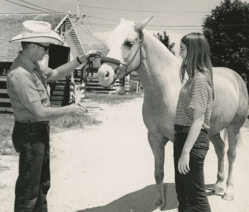horse, Farms, Fort Dodge, IA, Iowa History, Animals, Iowa, history of Iowa, Stewart, Phyllis