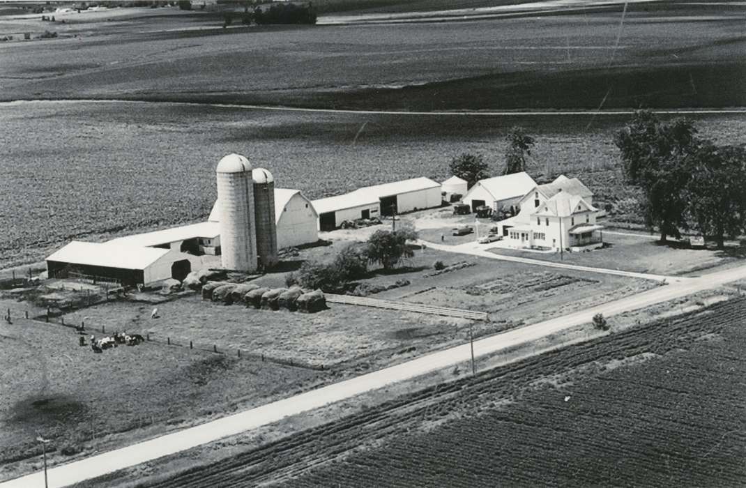 Sweeney, Rebecca, Iowa History, Barns, Dunkerton, IA, Iowa, Aerial Shots, Farms, silo, history of Iowa, house
