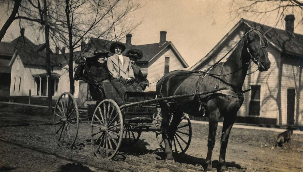 Animals, road, history of Iowa, Cities and Towns, Iowa, Iowa History, horse and buggy, Anamosa, IA, Portraits - Group, horse, Anamosa Library & Learning Center