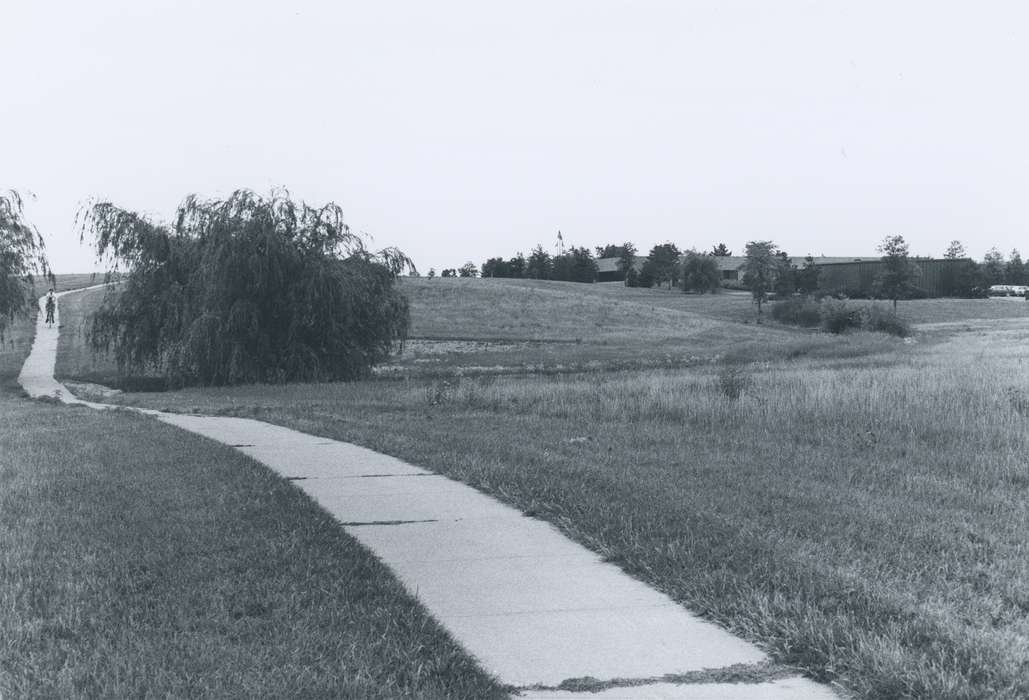 Landscapes, Iowa History, field, Waverly, IA, Iowa, Waverly Public Library, path, history of Iowa