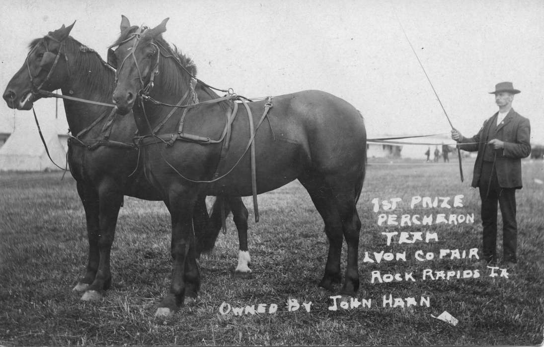 Farming Equipment, Animals, Iowa, history of Iowa, Mary, Buell, Farms, percheron, harness, horses, Iowa History, IA, hat