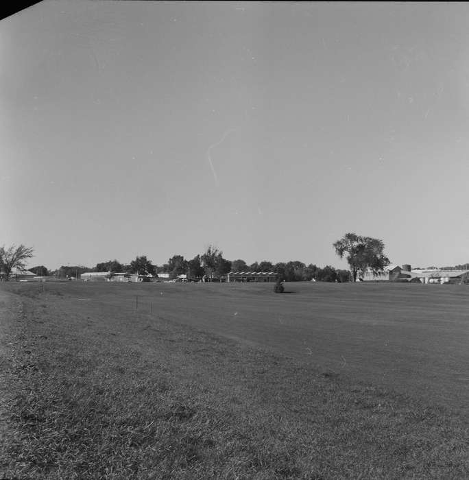 Iowa, IA, United States, Photos, historic, Coon Rapids, history, grass, field, ia, Coon Rapids Enterprise, Landscapes