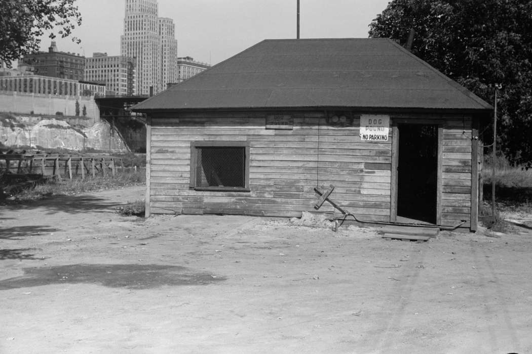 Businesses and Factories, St. Paul, United States, history, Photos, pound, Minnesota, historic, mn, dog, MN, Library of Congress
