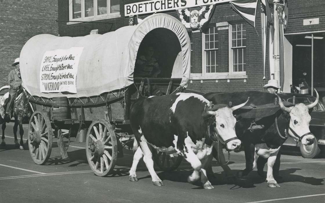 oxen, ia, IA, history, postcard, historic, Cities and Towns, Waterloo, Olsson, Ann and Jons, covered wagon, Iowa, Black Hawk, United States, Photos, Animals