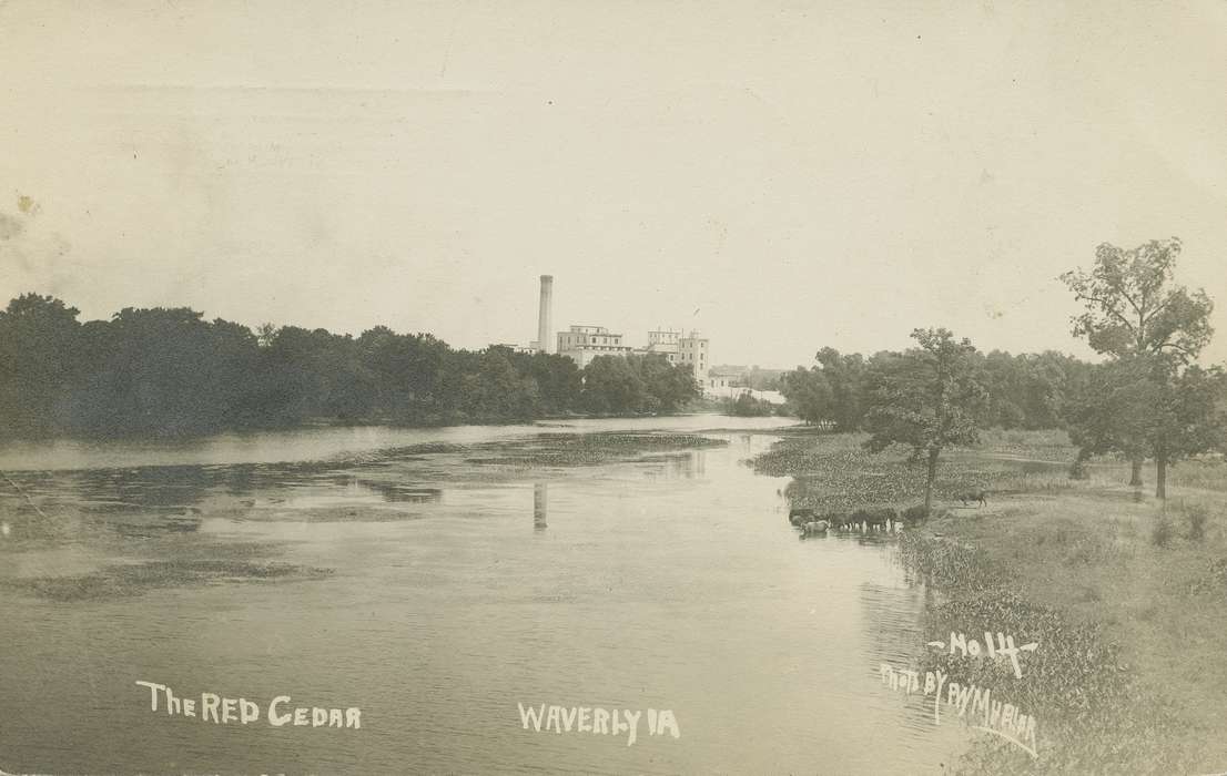 Businesses and Factories, Meyer, Mary, Lakes, Rivers, and Streams, cedar river, factory, river