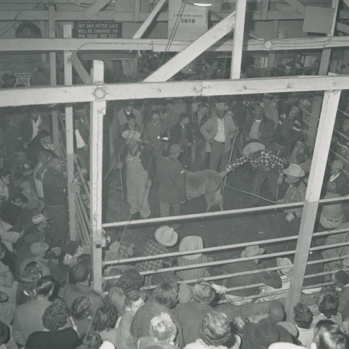 baseball cap, donkey, correct date needed, overalls, Iowa History, Waverly, IA, Waverly Public Library, cowboy hat, Animals, Iowa, Businesses and Factories, crowd, history of Iowa