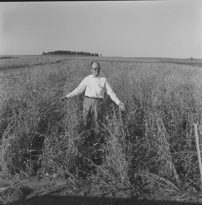 Portraits - Individual, Iowa, IA, United States, Photos, historic, man, Coon Rapids, Farms, dry grass, history, field, ia, Coon Rapids Enterprise