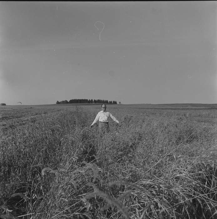 Portraits - Individual, Iowa, IA, United States, Photos, historic, man, Coon Rapids, Farms, dry grass, history, field, ia, Coon Rapids Enterprise