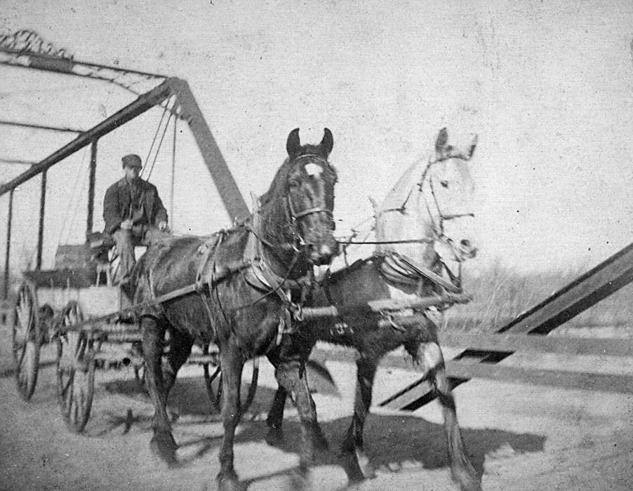 horses, Iowa, Iowa History, bridge, Lake, George, carriage, Independence, IA, wagon, Travel, Animals, history of Iowa