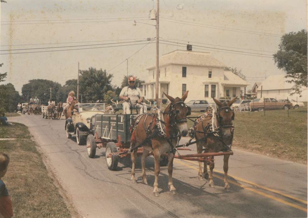 parade, mule, Iowa History, Zieser, Stan, Delta, IA, Entertainment, Iowa, wagon, Cities and Towns, history of Iowa, Animals