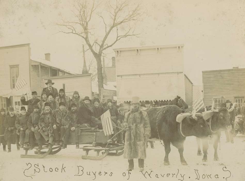 town street, agricultural industry, Waverly Public Library, Cities and Towns, Winter, stock buyers, Iowa History, businessman, Civic Engagement, Portraits - Group, Waverly, IA, Main Streets & Town Squares, Animals, Labor and Occupations, Iowa, history of Iowa, sled, Businesses and Factories