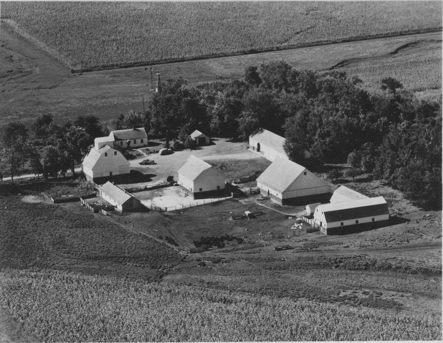 Farms, Barns, IA, Mary, Buell, Iowa History, Iowa, history of Iowa, Aerial Shots