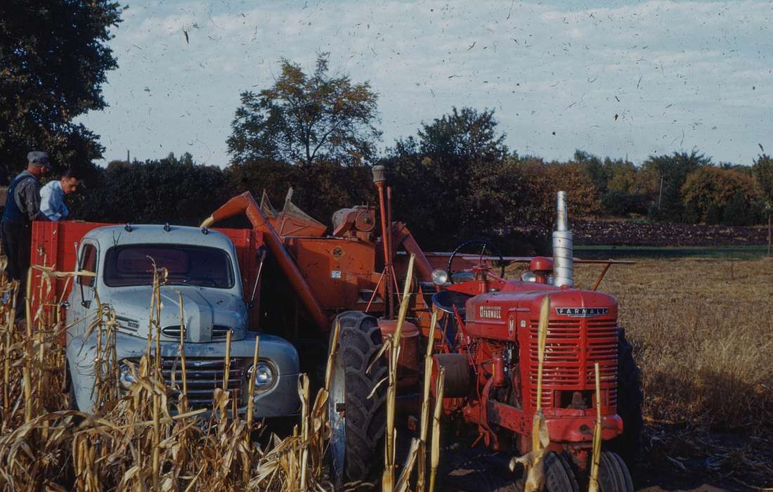 Sack, Renata, harvesting, Iowa History, Iowa, history of Iowa, fall, ford, Farming Equipment, autumn, harvest, tractor, USA, truck
