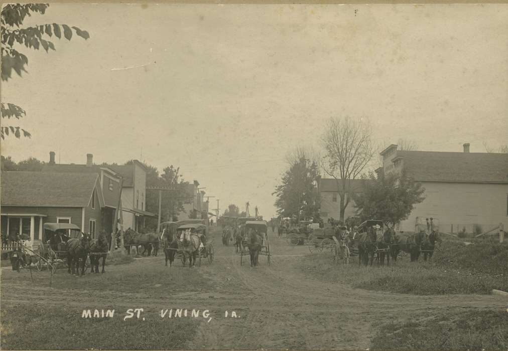 history of Iowa, Cities and Towns, Vining, IA, Animals, Iowa History, horse and buggy, Cech, Mary, Iowa, road, Main Streets & Town Squares