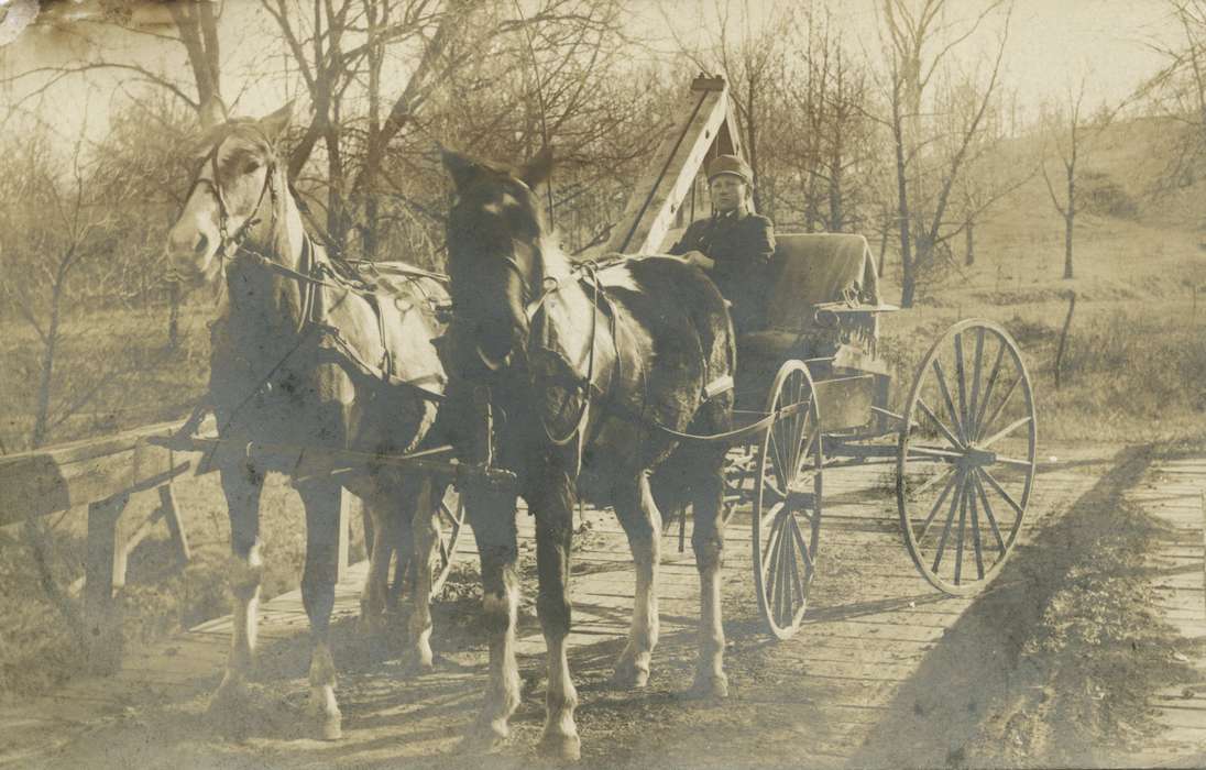 carriage, Animals, Moravia, IA, Martin, Carol, bridge, Iowa History, Iowa, horses, history of Iowa