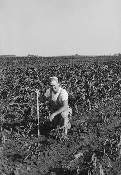 Portraits - Individual, Iowa, IA, United States, Photos, historic, Labor and Occupations, Coon Rapids, Farms, history, ruler, ia, Coon Rapids Enterprise, corn field, corn