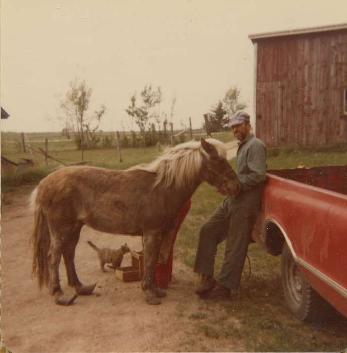 Motorized Vehicles, cat, fence, IA, Portraits - Individual, Farms, mule, Animals, Scholtec, Emily, history of Iowa, Iowa History, Iowa, truck