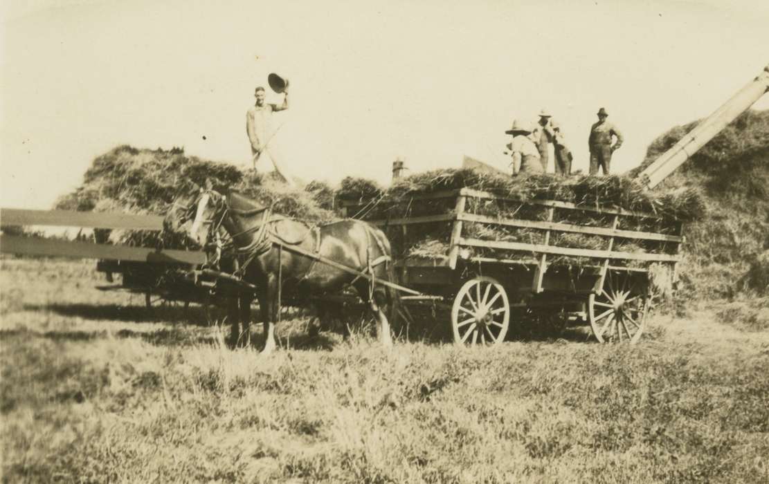 horse, wagon, history of Iowa, Martin, Carol, hat, harvesting, Farms, Farming Equipment, Iowa, Iowa History, Animals, Moravia, IA