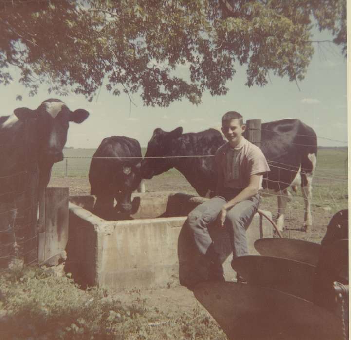Hansell, IA, Farms, Children, Malcolm, Cindy, Portraits - Individual, history of Iowa, Iowa History, Animals, cows, Iowa