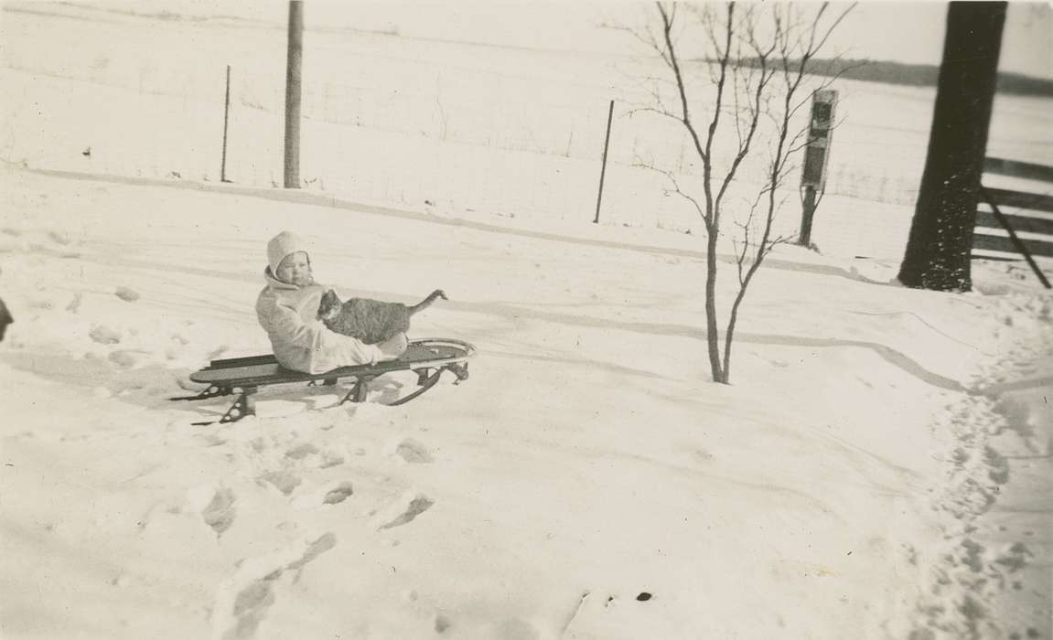 Beach, Rosemary, sled, Portraits - Individual, snow, history of Iowa, Iowa History, Hampton, IA, cat, Outdoor Recreation, Iowa, baby
