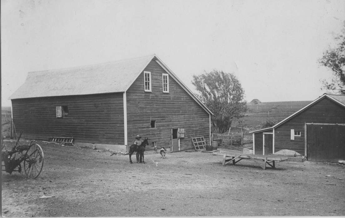 Animals, Zubrod, Kevin and Deanna, Iowa History, Barns, dog, Farms, Sutherland, IA, farmer, history of Iowa, Farming Equipment, horse, Iowa
