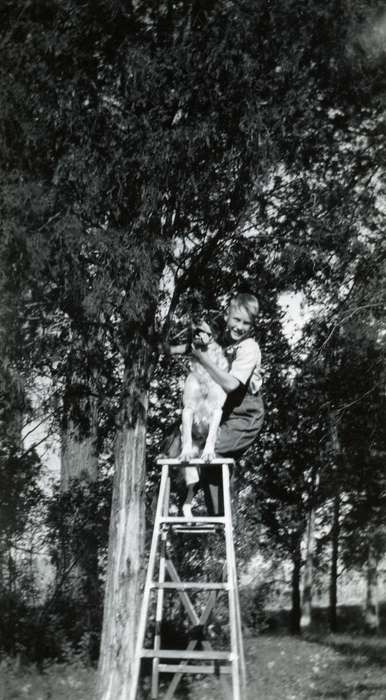dog, ladder, Animals, Iowa, Children, Iowa History, history of Iowa, Duncombe, IA, Stewart, Phyllis