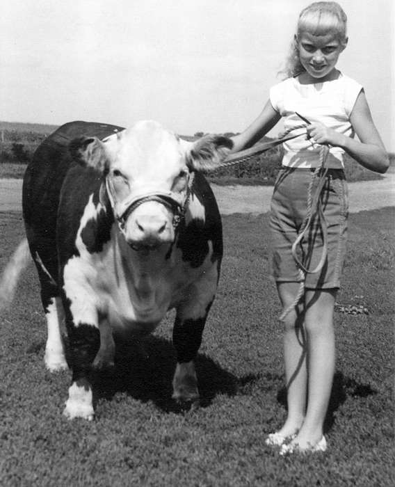 Animals, 4-h, Farms, cattle, hereford, Portraits - Individual, bull, Fuller, Steven, Iowa History, Iowa, Story County, IA, history of Iowa, Children