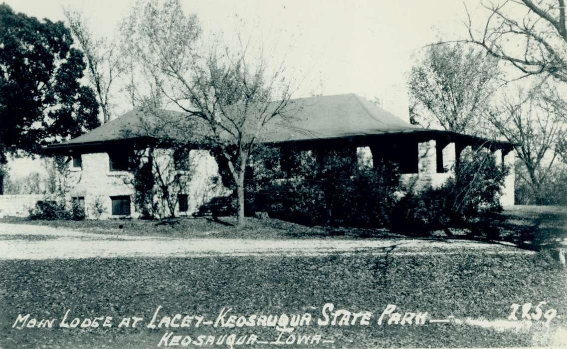 tree, Lemberger, LeAnn, Iowa History, lodge, Leisure, state park, Keosauqua, IA, Iowa, history of Iowa, Outdoor Recreation