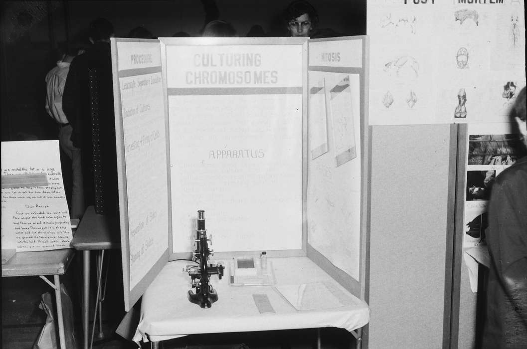 United States, history, ia, Photos, Coon Rapids Enterprise, historic, Iowa, IA, Fairs and Festivals, science project, science fair, Coon Rapids