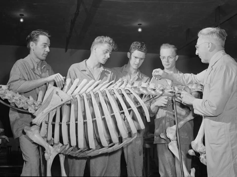 classmates, young men, history of Iowa, Schools and Education, Iowa History, Library of Congress, studying, professor, anatomy class, Labor and Occupations, students, skeleton, Iowa, iowa state university