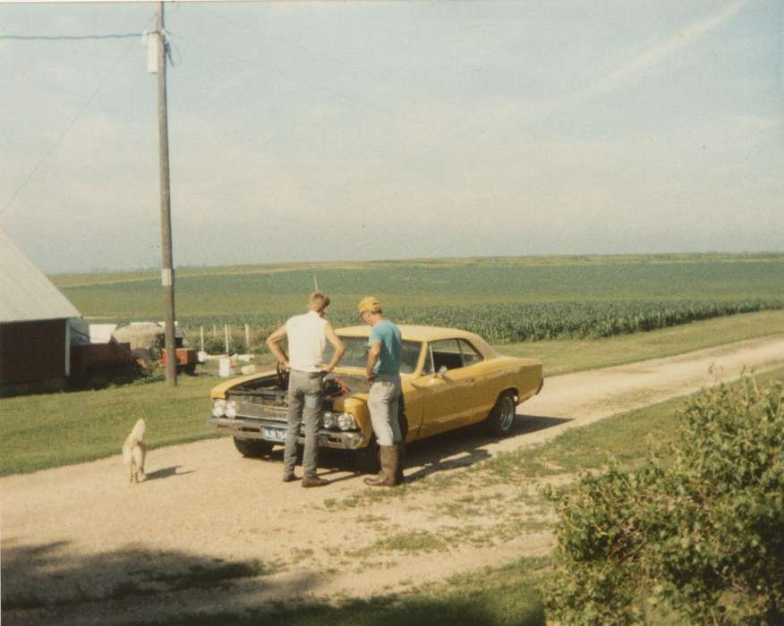 Malcolm, Cindy, Farms, Iowa History, car, dog, repair, chevelle, cornfield, Hansell, IA, Animals, malibu, Iowa, history of Iowa, Motorized Vehicles