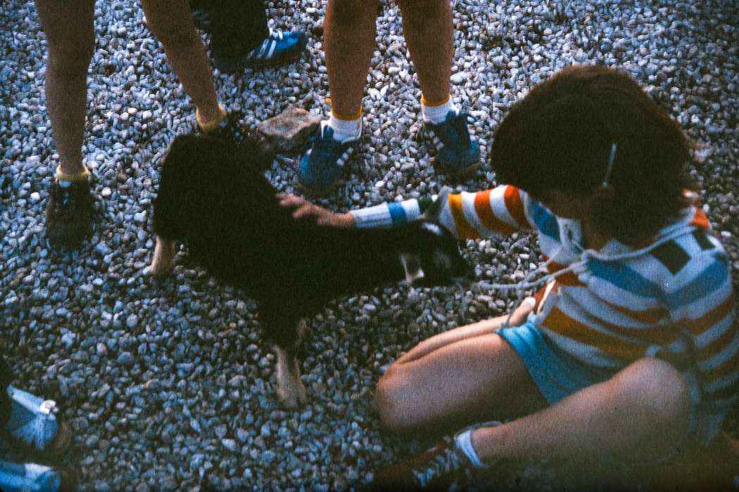 Photos, Kansas City, Iowa, goat, MO, Coon Rapids Enterprise, school trip, missouri trip, history, historic, ia, Animals, Schools and Education, United States, Children, petting zoo