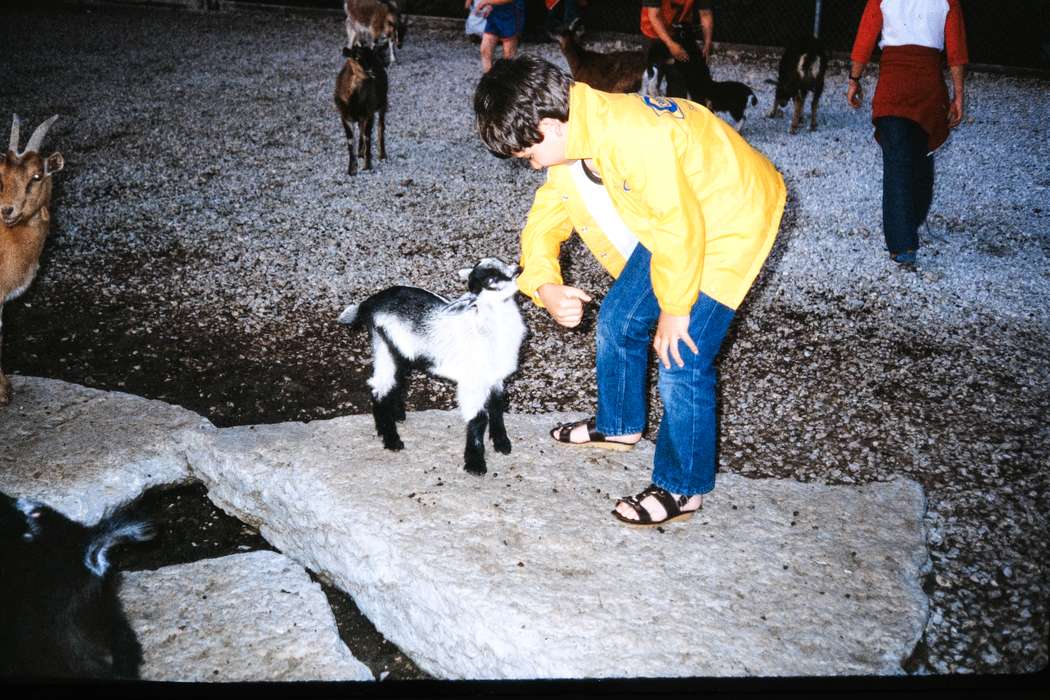 Photos, Iowa, goat, Coon Rapids Enterprise, school trip, missouri trip, IA, history, historic, Coon Rapids, ia, Animals, Schools and Education, United States, Children, petting zoo