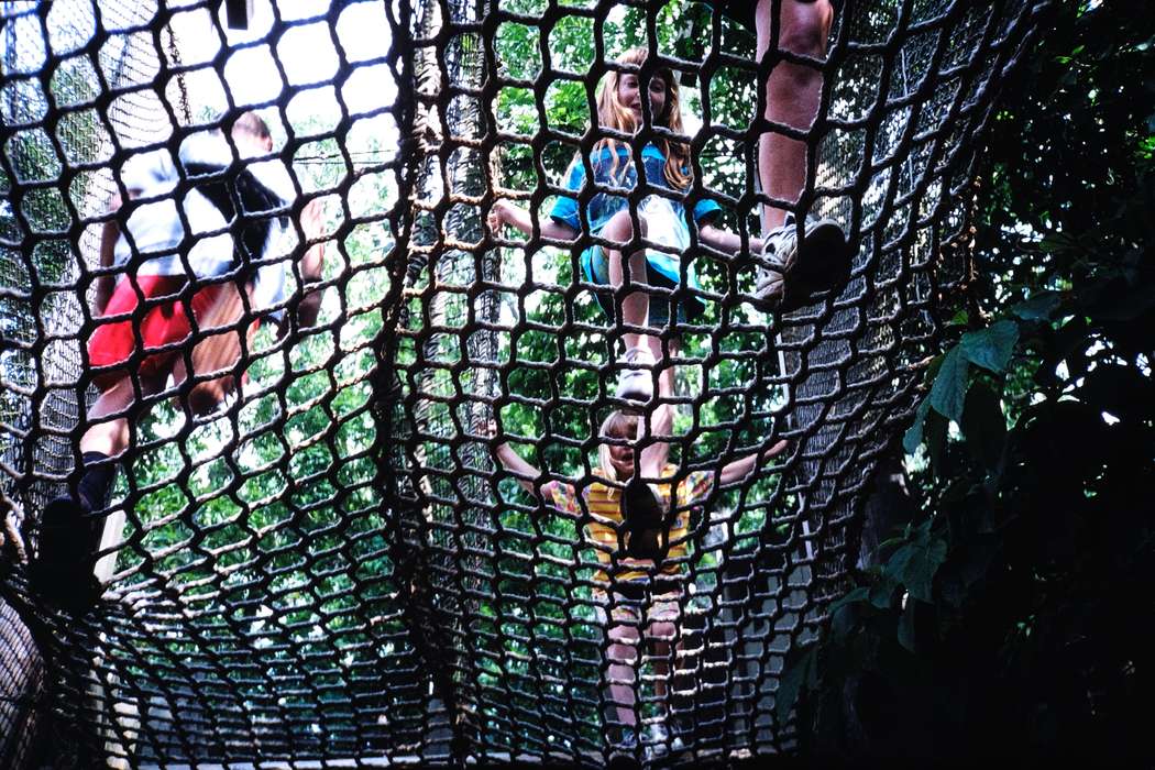 climbing, ia, second grade missouri trip, Schools and Education, Iowa, history, Photos, Coon Rapids Enterprise, Children, missouri trip, historic, United States, MO, school trip