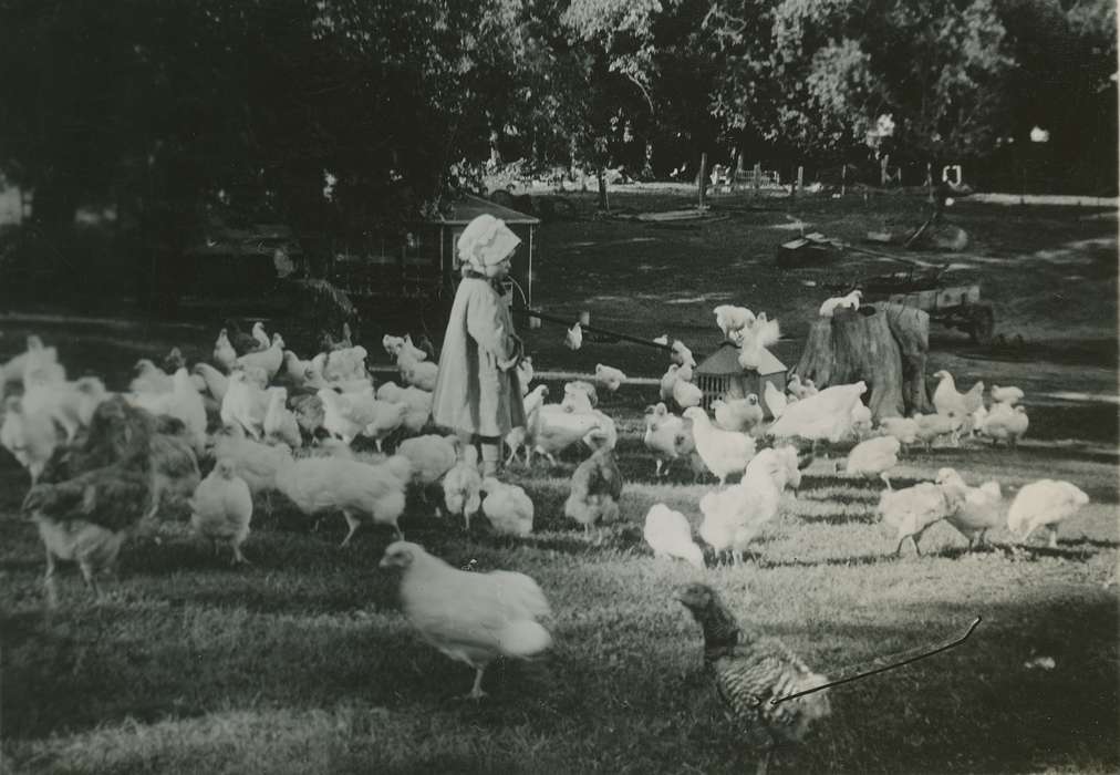 bonnet, history of Iowa, Beach, Rosemary, chickens, Children, Iowa, Iowa History, Animals, Hampton, IA