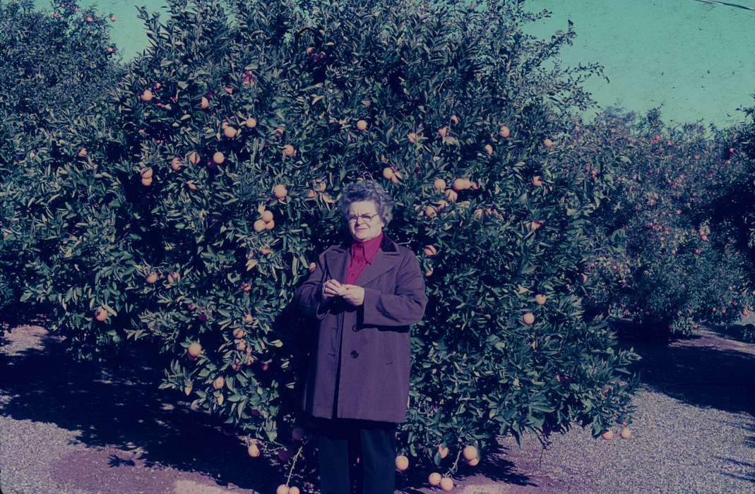 orchard, Harken, Nichole, orange tree, Portraits - Individual, Iowa, Iowa History, history of Iowa, Farms