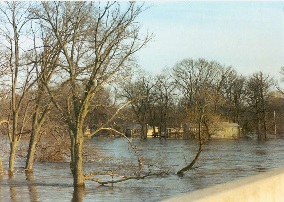 water, tree, flood, Iowa, Fuller, Steven, Iowa History, Waterloo, IA, history of Iowa, Lakes, Rivers, and Streams, Floods