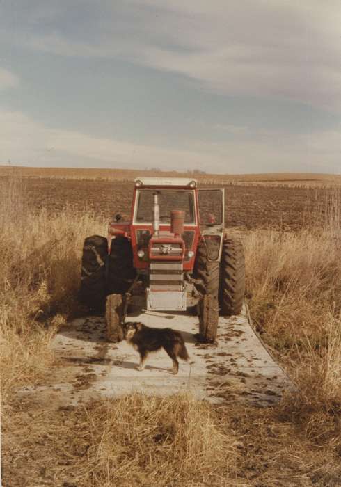 Farming Equipment, Animals, dog, Hansell, IA, Iowa, history of Iowa, Farms, field, tractor, Malcolm, Cindy, Iowa History, Motorized Vehicles