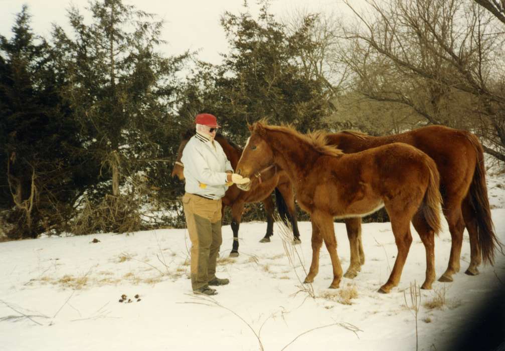 Fouche, Shirley, farmlife, Animals, history of Iowa, Iowa, Winter, Iowa History, Osceola, IA, horse, snow