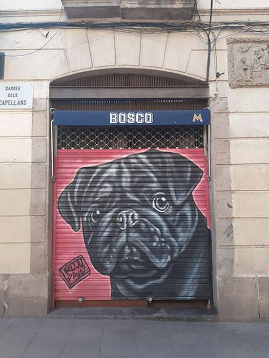Spain, historic, history, Animals, Photos, streetart, dog, StreetArtCEI, bulldog