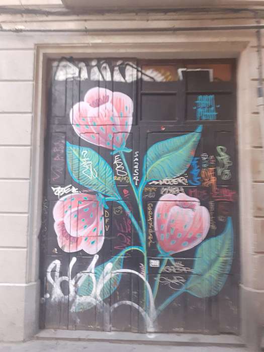 Landscapes, flower, streetart, Spain, StreetArtCEI, historic, history, Photos