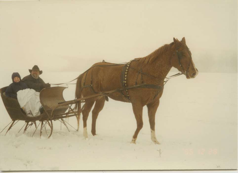 Animals, Iowa History, snow, history of Iowa, Leisure, sleigh, Tucker, Rose, horse, Iowa, Winter, Bankston, IA