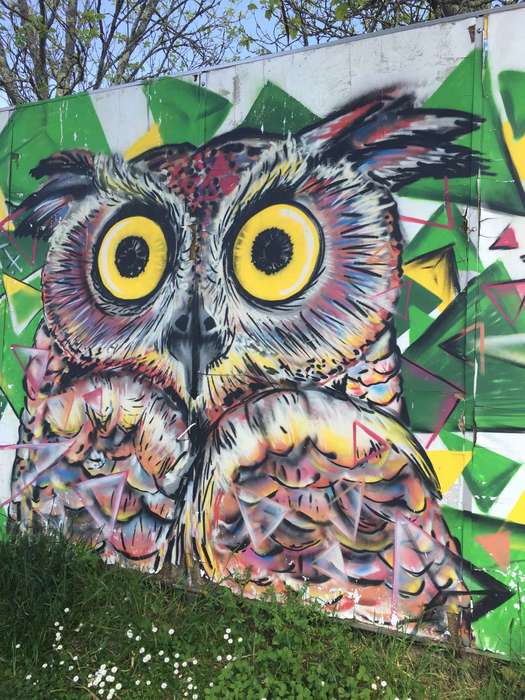 Spain, historic, history, Animals, Photos, streetart, bird, StreetArtCEI, owl