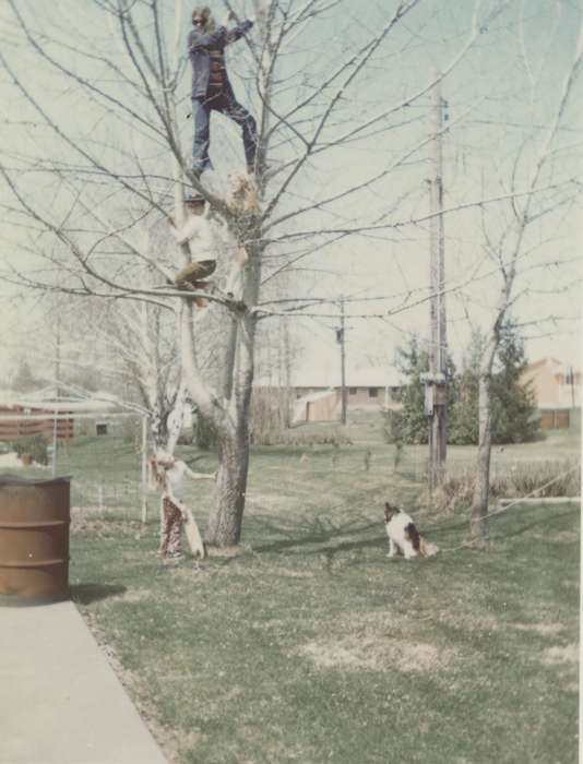 playing, tree, Children, outdoors, dog, IA, history of Iowa, Iowa History, Owens, Lois, barren tree, fall, branches, Outdoor Recreation, Iowa, climbing